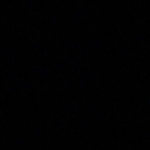 Meet your Posher, Anabelle